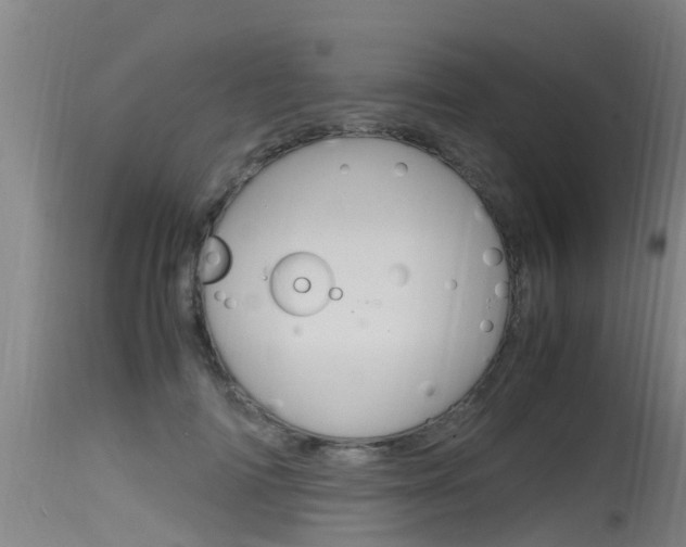 X0000115760698200911131000