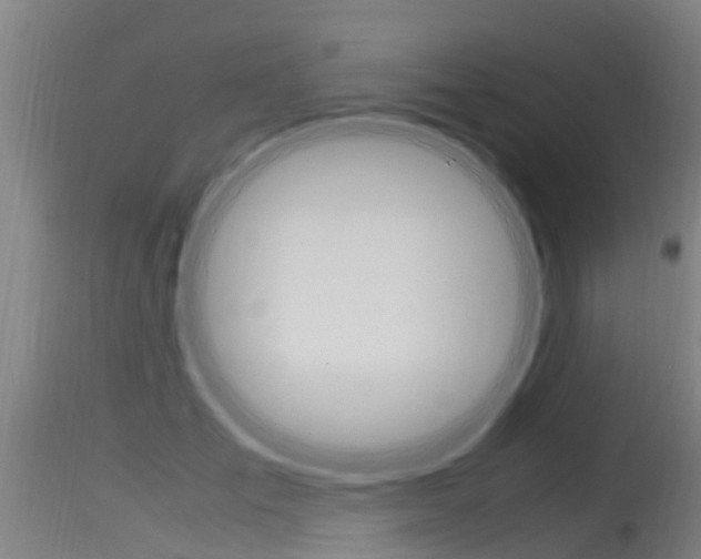 X0000115760701200911131000