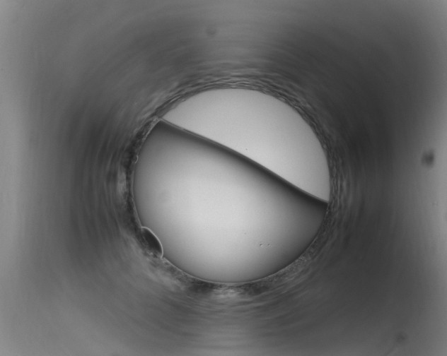 X0000115760704200911131000