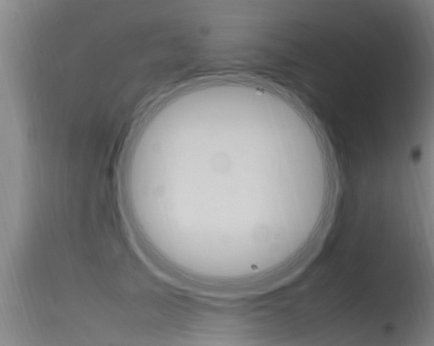 X0000115760705200911131000