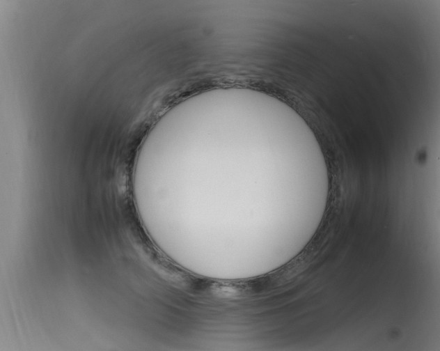 X0000115760706200911131000