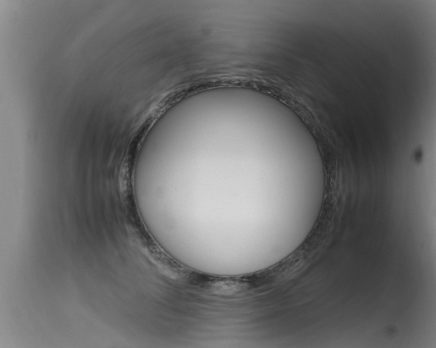 X0000115760708200911131000