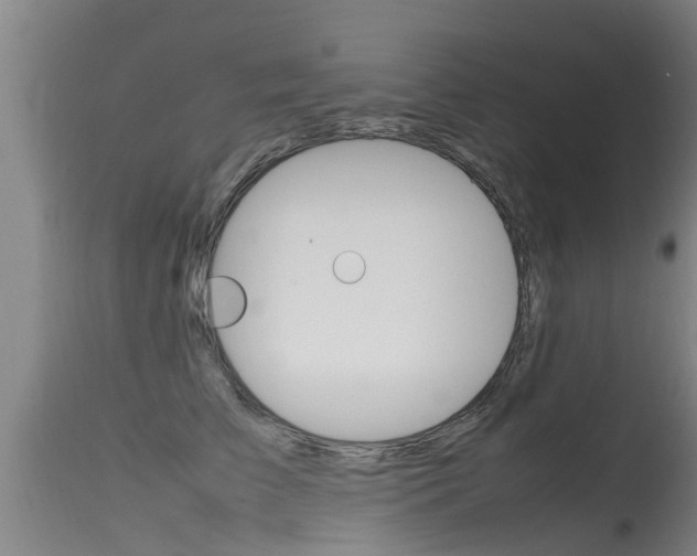 X0000115760709200911131000