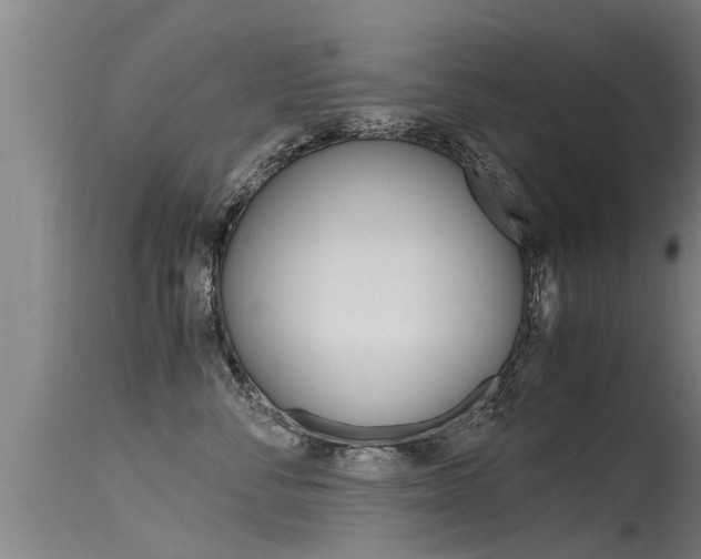 X0000115760716200911131000