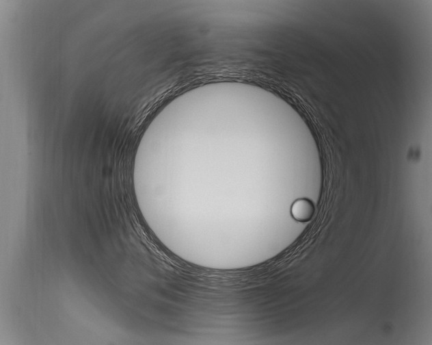 X0000115760720200911130959