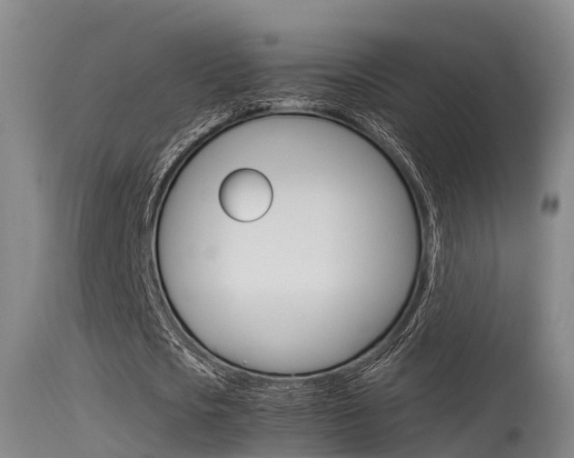 X0000115760721200911130959