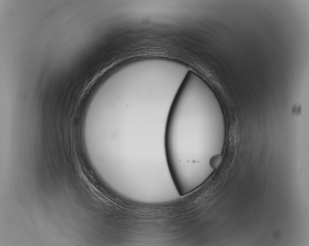 X0000115760722200911130959