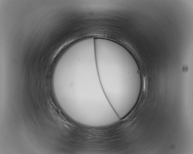 X0000115760723200911130959