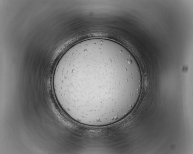 X0000115760725200911130959