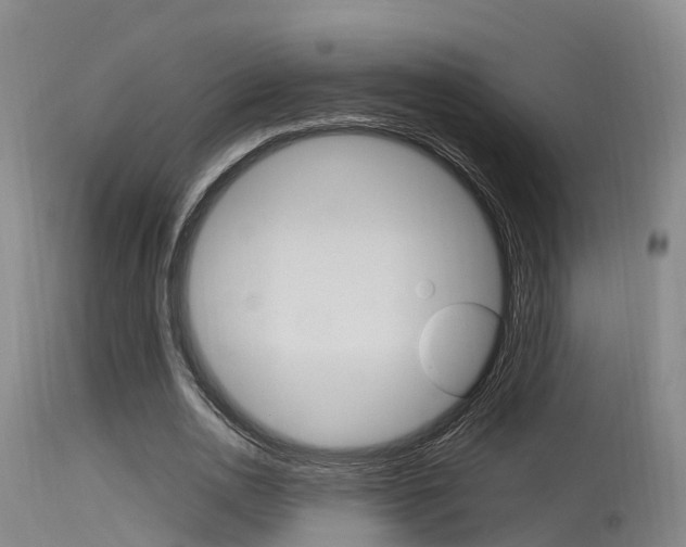 X0000115760726200911130959
