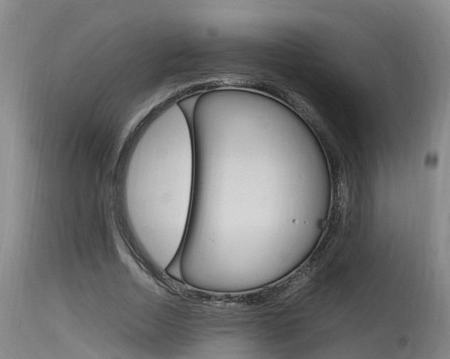 X0000115760730200911130959