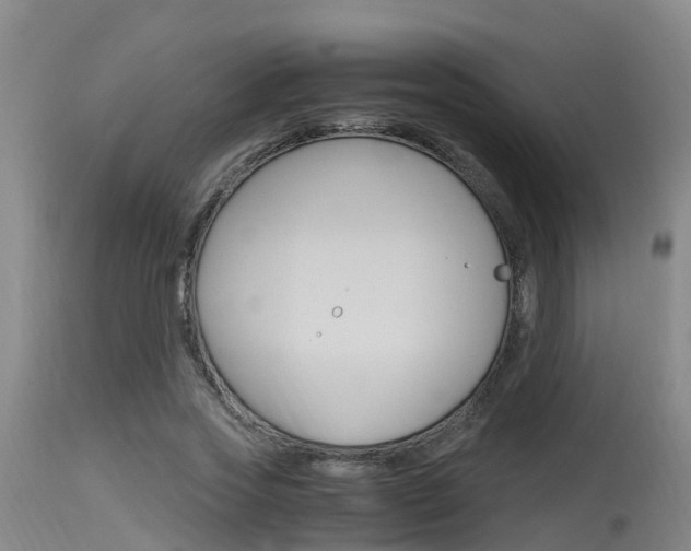 X0000115760733200911130959