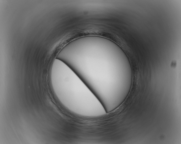 X0000115760735200911130959