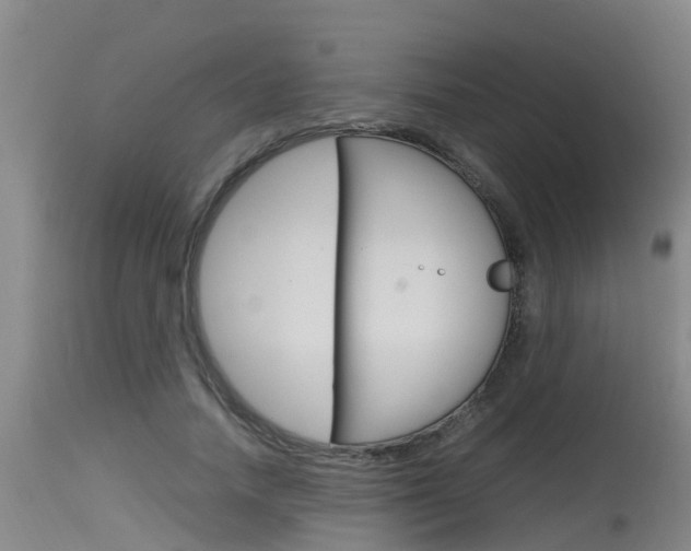 X0000115760738200911130959