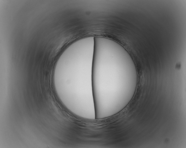 X0000115760739200911130959