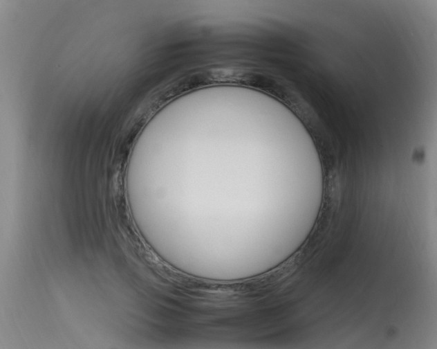 X0000115760741200911130959