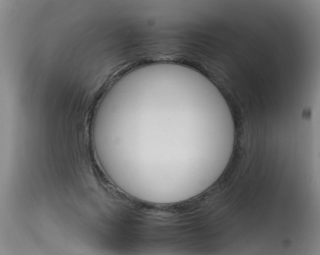 X0000115760743200911130959