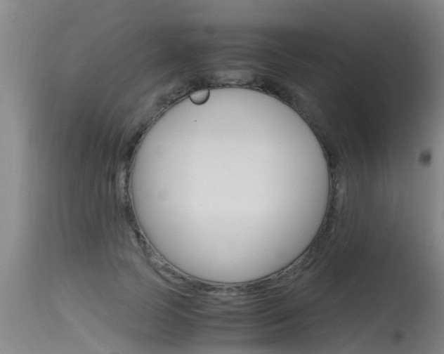 X0000115760745200911130959