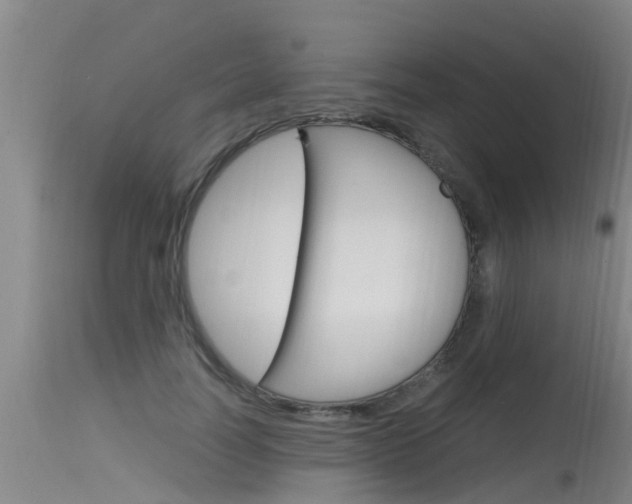 X0000115760746200911130959