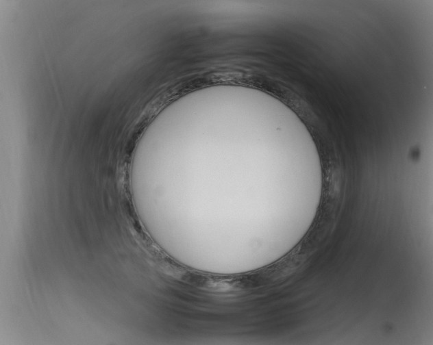 X0000115760753200911130959