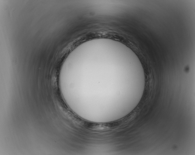 X0000115760754200911130959