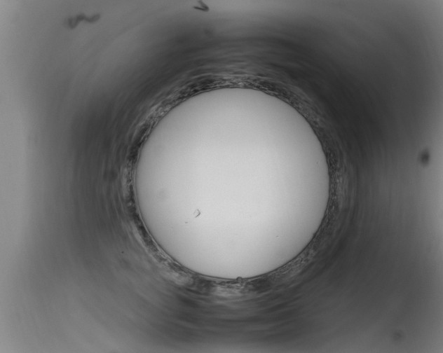 X0000115760757200911130959