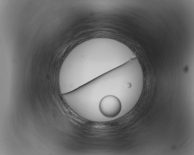 X0000115760759200911130959