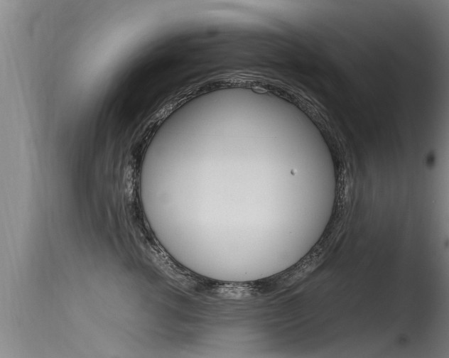 X0000115760762200911130959