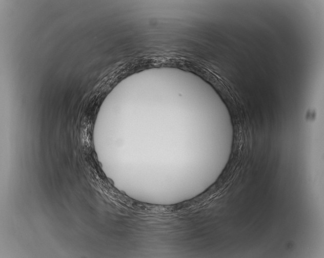 X0000115760770200911130959
