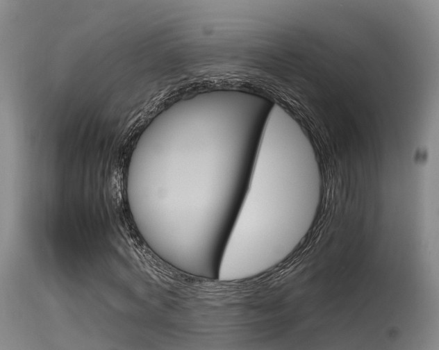 X0000115760772200911130959