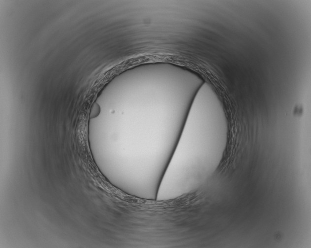 X0000115760773200911130959