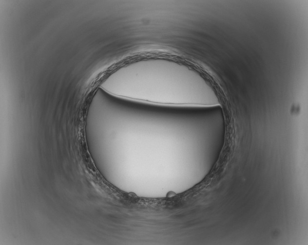 X0000115760775200911130959