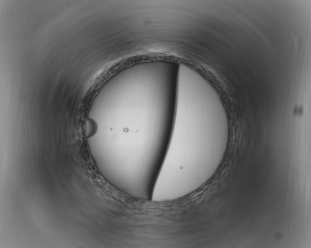 X0000115760776200911130959