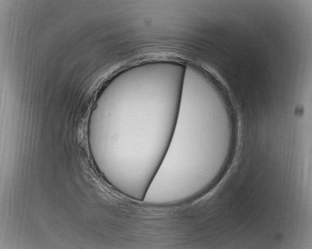 X0000115760777200911130959