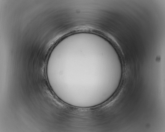 X0000115760778200911130959