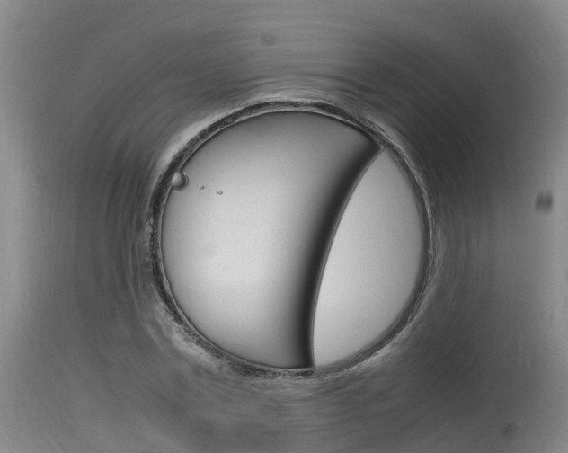 X0000115760779200911130959