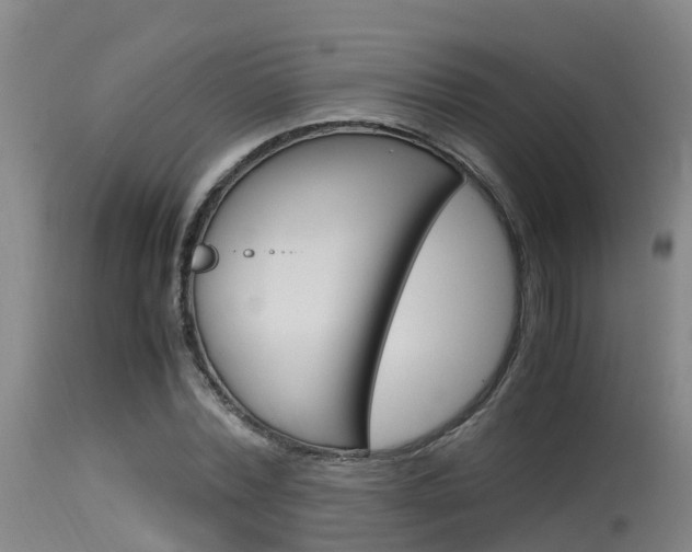 X0000115760780200911130959