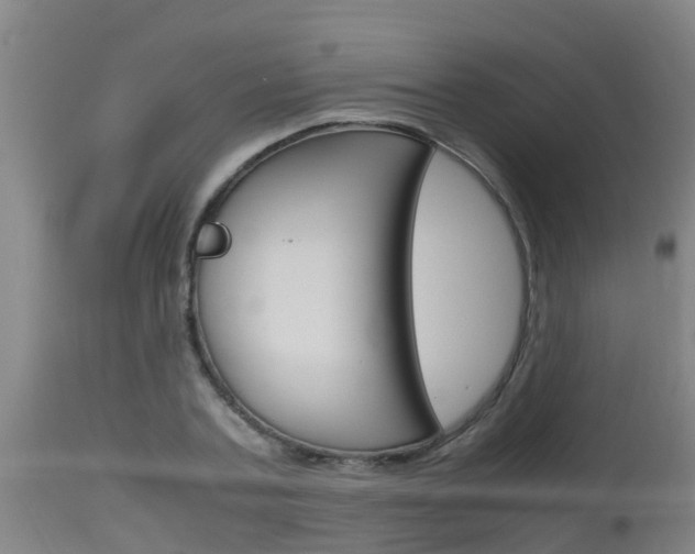 X0000115760787200911130959