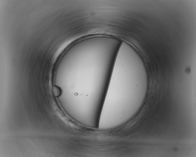 X0000115760788200911130959