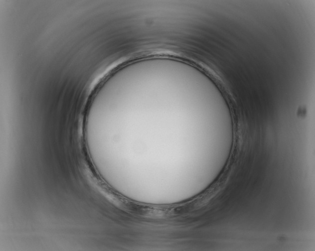 X0000115760790200911130958