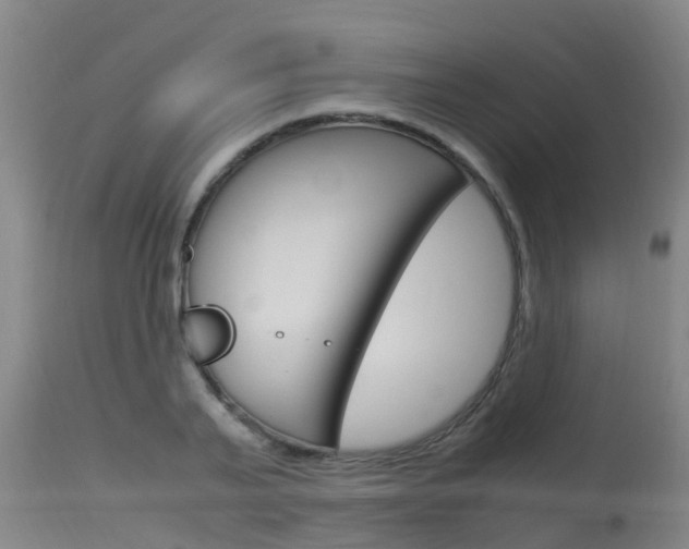 X0000115760791200911130958