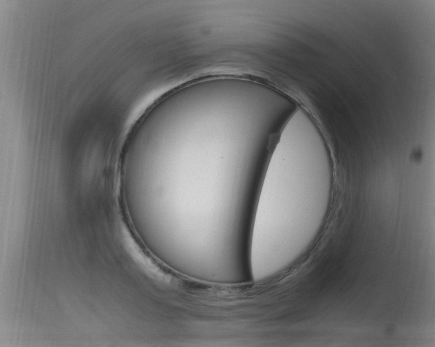 X0000115760795200911130958