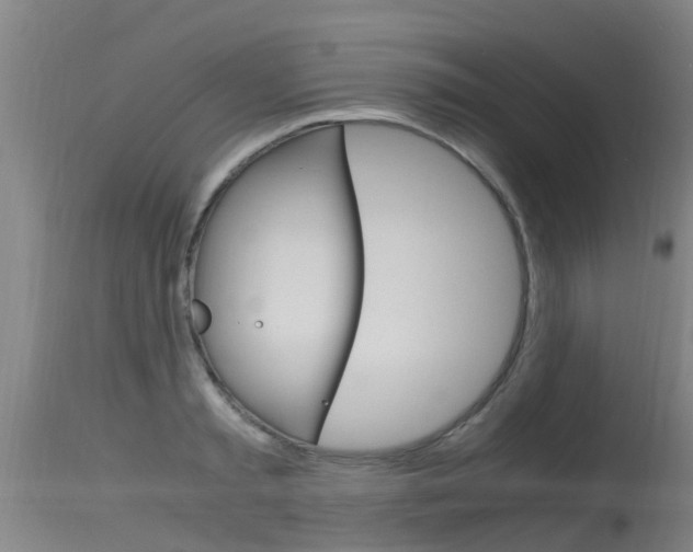 X0000115760797200911130958