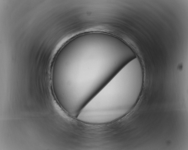 X0000115760800200911130958