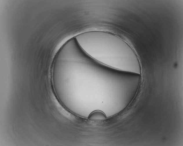 X0000115760803200911130958