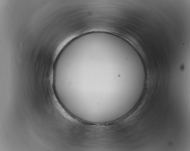 X0000115760804200911130958