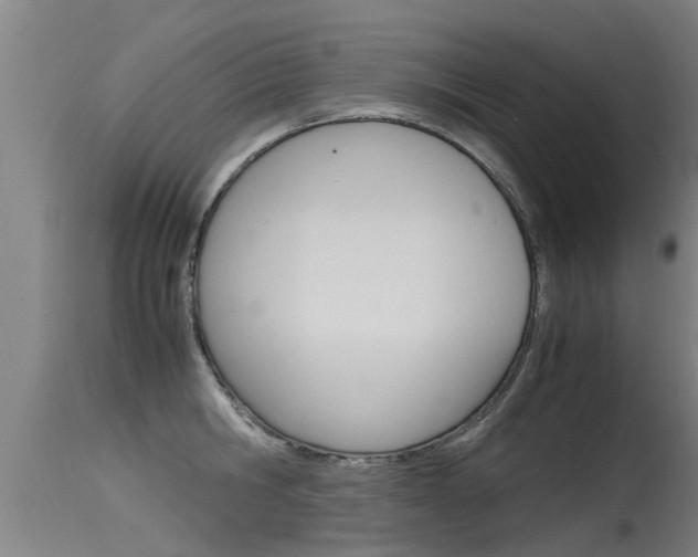 X0000115760806200911130958
