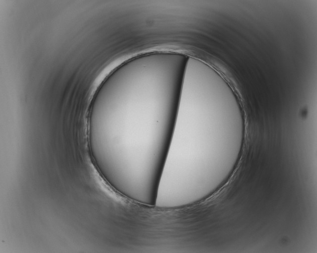 X0000115760808200911130958