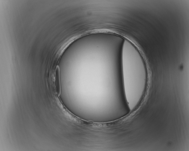 X0000115760809200911130958