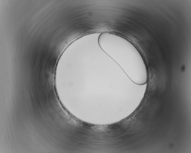 X0000115760810200911130958